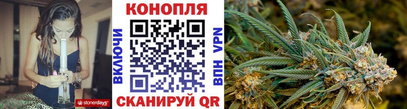 Бошки Шишки план Сосногорск